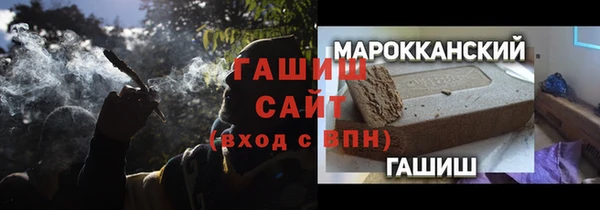 PSILOCYBIN Алагир