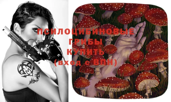 бошки Аксай