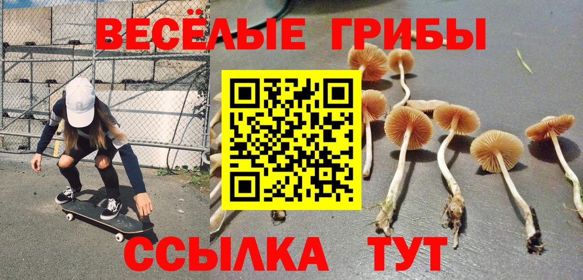 Саров  Псилоцибиновые грибы Magic Shrooms  Вход с VPN 